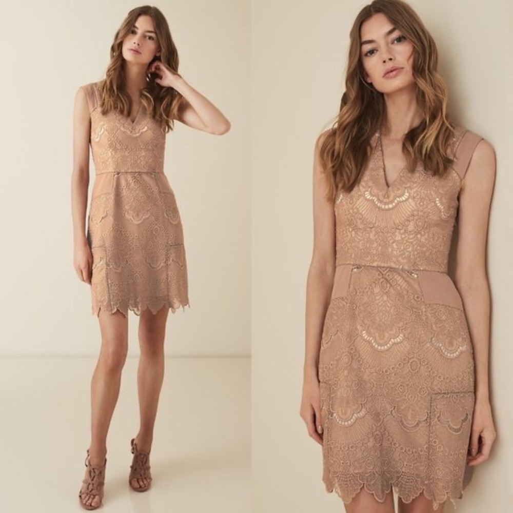 Reiss Gemina lace fit and flare dress